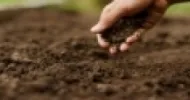 fertilidade do solo nos últimos tempos