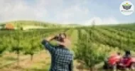 gestão de segurança e do trabalho rural