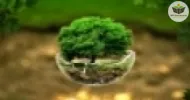 noções básicas de técnicas sustentáveis