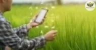 sementeira e tecnologia na agricultura