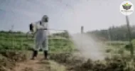 toxicologia dos agrotóxicos