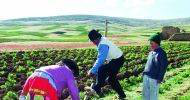 introdução em implementos agrícolas