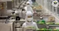 segurança do trabalho em indústrias alimentícias