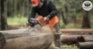 avaliação de segurança do trabalho de operadores de motosserra