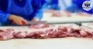 básico de abate e processamento de carnes e derivados