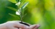 básico em desenvolvimento sustentável
