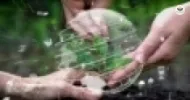 meio ambiente e desenvolvimento sustentável