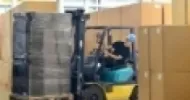 segurança para operação de empilhadeiras