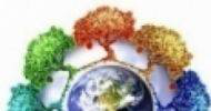 educação ambiental em perspectiva transversal