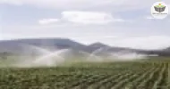 impactos ambientais da agricultura irrigada