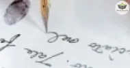 norma de procedimento de grafoscopia
