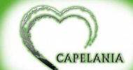 básico em capelania