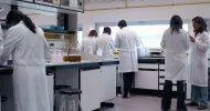 noções básicas em auxiliar de laboratório de bioquímica clínica