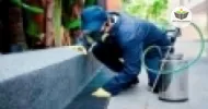 medidas preventivas para controle de pragas urbanas