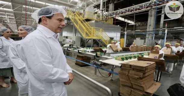 WR Educacional Cursos Gratuitos Com Certificado Válido