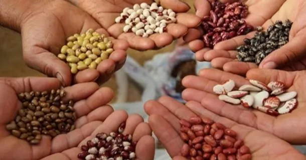 WR Educacional Cursos Gratuitos Com Certificado Válido