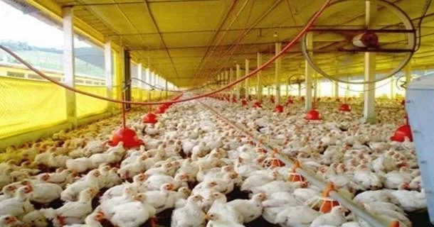 WR Educacional Cursos Gratuitos Com Certificado Válido