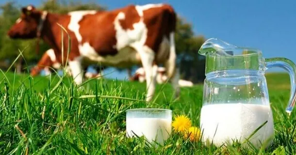 WR Educacional Cursos Gratuitos Com Certificado Válido