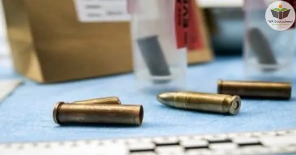 WR Educacional Cursos Gratuitos Com Certificado Válido