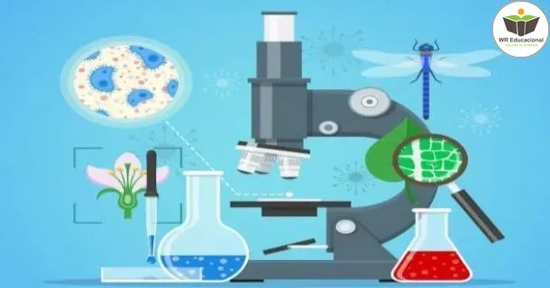 WR Educacional Cursos Gratuitos Com Certificado Válido