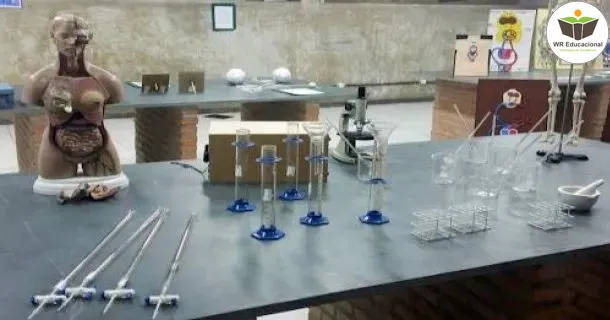 WR Educacional Cursos Gratuitos Com Certificado Válido