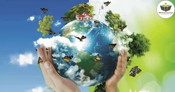 WR Educacional Cursos Gratuitos Com Certificado Válido