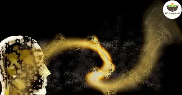 WR Educacional Cursos Gratuitos Com Certificado Válido