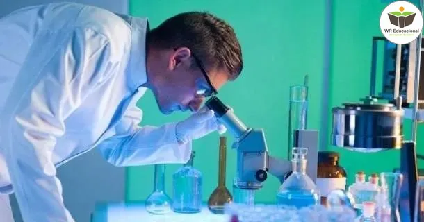 WR Educacional Cursos Gratuitos Com Certificado Válido