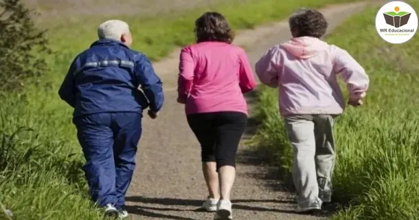 WR Educacional Cursos Gratuitos Com Certificado Válido