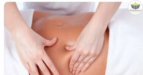 WR Educacional Cursos Gratuitos Com Certificado Válido