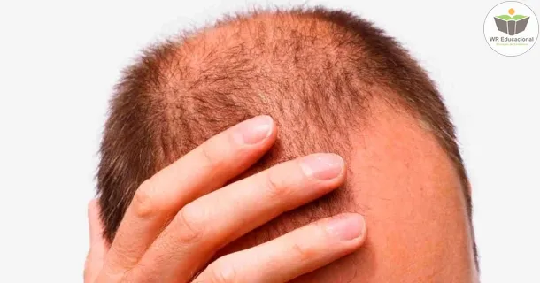 WR Educacional Cursos Gratuitos Com Certificado Válido