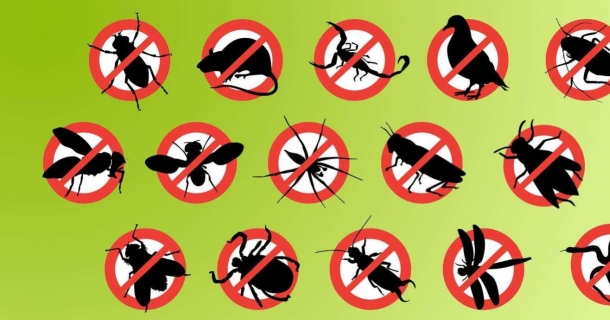 WR Educacional Cursos Gratuitos Com Certificado Válido