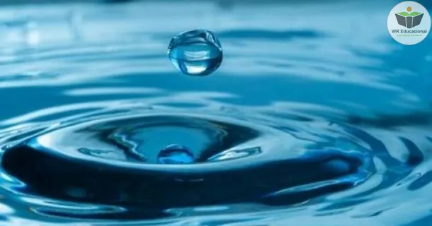 WR Educacional Cursos Gratuitos Com Certificado Válido