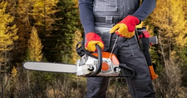 Curso Livre de operador de motosserra