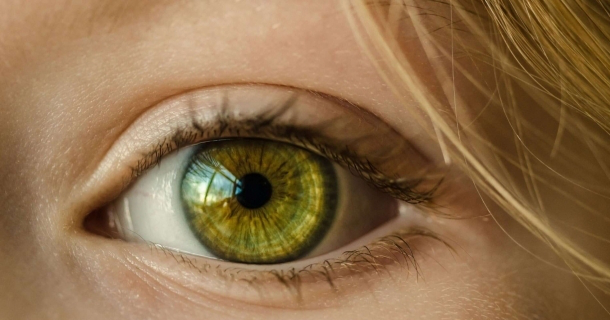 WR Educacional Cursos Gratuitos Com Certificado Válido