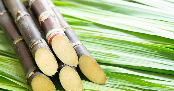 WR Educacional Cursos Gratuitos Com Certificado Válido