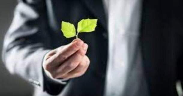 Curso Online Grátis de Sistema de gestão ambiental