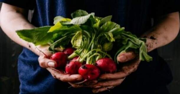 Curso Online Grátis de Desperdício de Alimentos