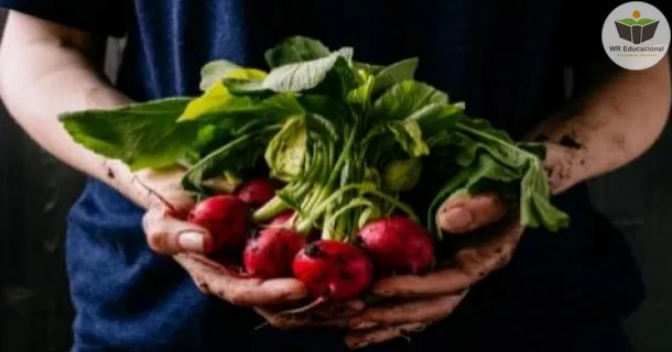Curso Livre de desperdício de alimentos