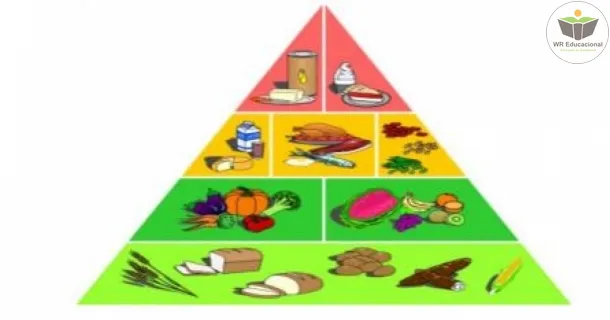 Curso Livre de pirâmide alimentar escolar