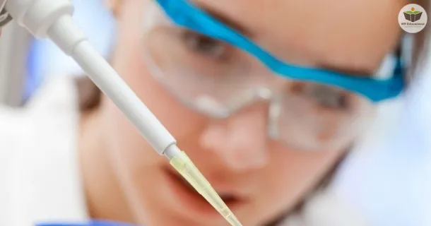 WR Educacional Cursos Gratuitos Com Certificado Válido