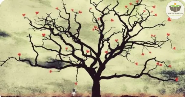 WR Educacional Cursos Gratuitos Com Certificado Válido