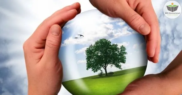 Curso Livre de responsabilidade social empresarial