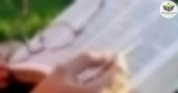 WR Educacional Cursos Gratuitos Com Certificado Válido