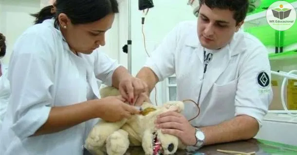 Curso Livre de noções básicas de auxiliar de veterinária e pet shop