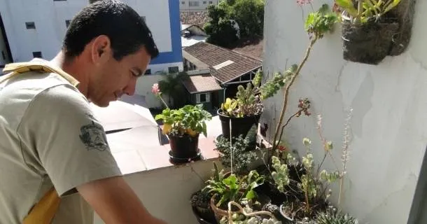 WR Educacional Cursos Gratuitos Com Certificado Válido