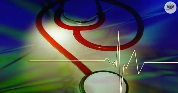 WR Educacional Cursos Gratuitos Com Certificado Válido