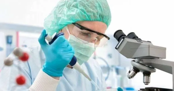 WR Educacional Cursos Gratuitos Com Certificado Válido