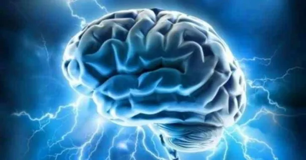 WR Educacional Cursos Gratuitos Com Certificado Válido