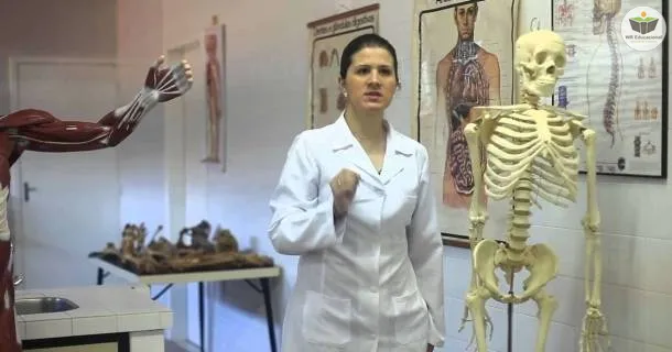 WR Educacional Cursos Gratuitos Com Certificado Válido